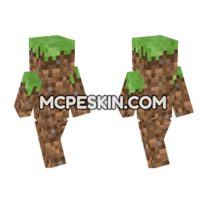 Grass Block Skin Minecraft Bedrock skin