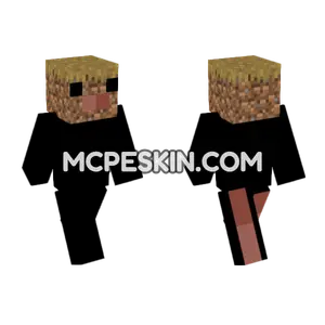Grass Path Chicken Minecraft Bedrock skin