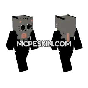 Gray Cat Character