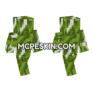 Green Glazed Terracotta Minecraft Bedrock skin
