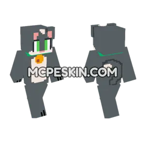 Grey Cat Outfit