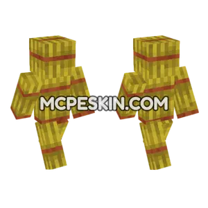 Hay Bale Minecraft Bedrock skin