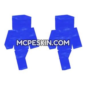 Hide Skin 2 Minecraft Bedrock skin