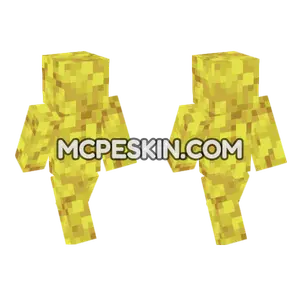 Horn Coral Block Minecraft Bedrock skin