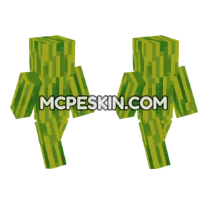 Melon Skin Minecraft Bedrock skin