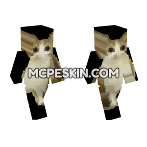 Meowl 6755298 Minecraft Bedrock skin