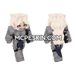Paladin 6581791 Minecraft Bedrock skin