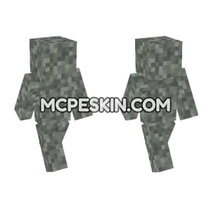 Pale Moss Block Minecraft Bedrock skin