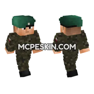 Polish Field Uni V1 Minecraft Bedrock skin