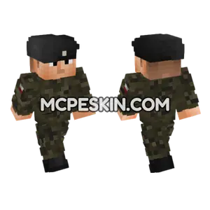Polish Field Uni V2 Minecraft Bedrock skin