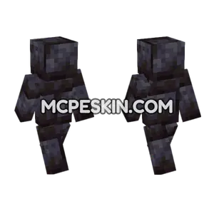 Polished Blackstone Bricks Minecraft Bedrock skin