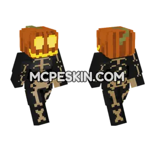 Pumpkin Cat