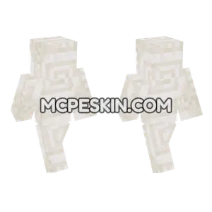 Quartz Pillar Top Minecraft Bedrock skin