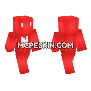 Red Brick Blocks Minecraft Bedrock skin
