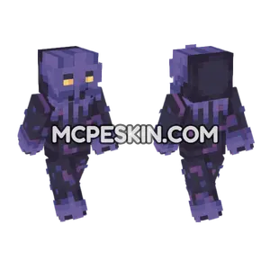 Shadow 14 Minecraft Bedrock skin