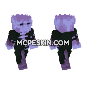 Shadow 23 Minecraft Bedrock skin