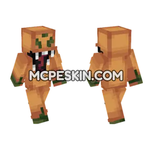 Shadow 4 Minecraft Bedrock skin