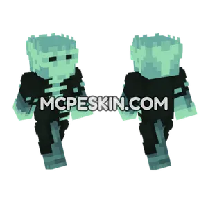 Shadow 5 Minecraft Bedrock skin