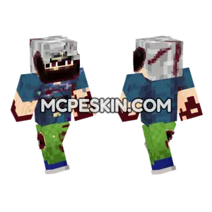 Static EXE