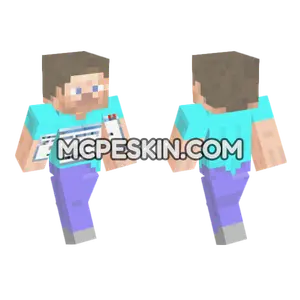 Steve Exe Stopped Working