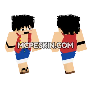 Straw Hat Pirate Outfit