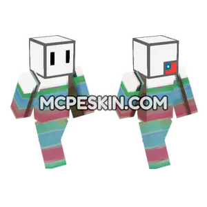 Striped Bag Outfit Minecraft Bedrock skin