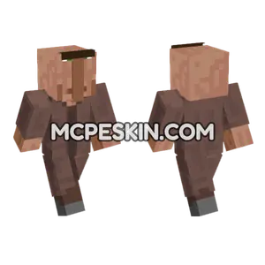 Stupidvillager Skin Minecraft Bedrock skin