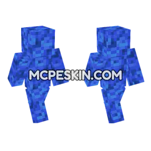 Tube Coral Block Minecraft Bedrock skin