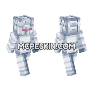 Weather Report Skin Minecraft Bedrock skin
