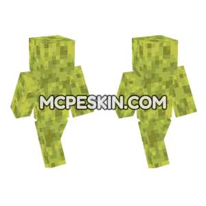 Wet Sponge Minecraft Bedrock skin