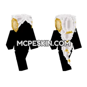 White and Gold Ornate Robes
