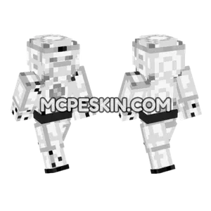 White Ninja Ranger Minecraft Bedrock skin