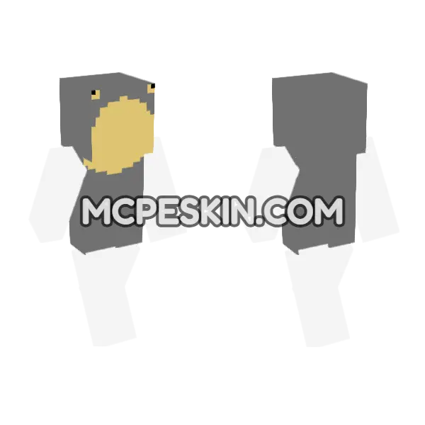 Abc 6906081 Minecraft Bedrock skin, front and back