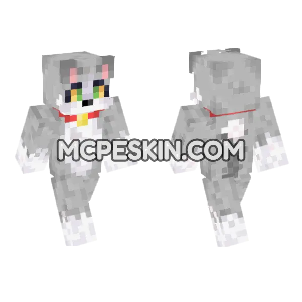 Acenix Cat Minecraft Bedrock skin, front and back