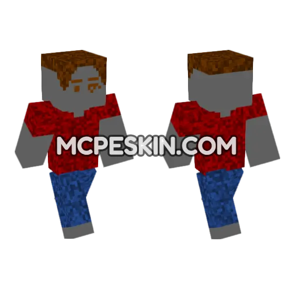 Baldi's Basics Classic Remastered, front and back