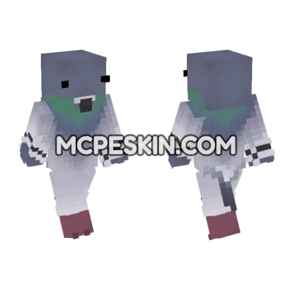Birb Skin Minecraft Bedrock skin, front and back