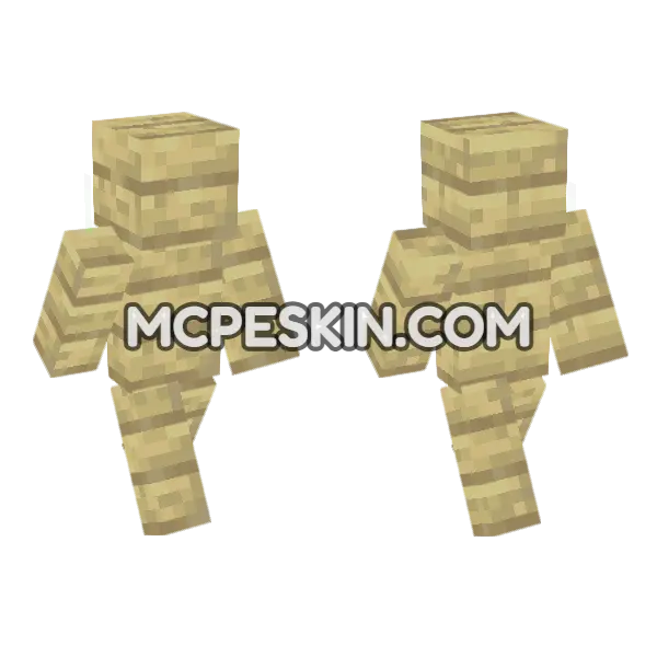 Birch Planks Outfit Minecraft Bedrock skin, front and back