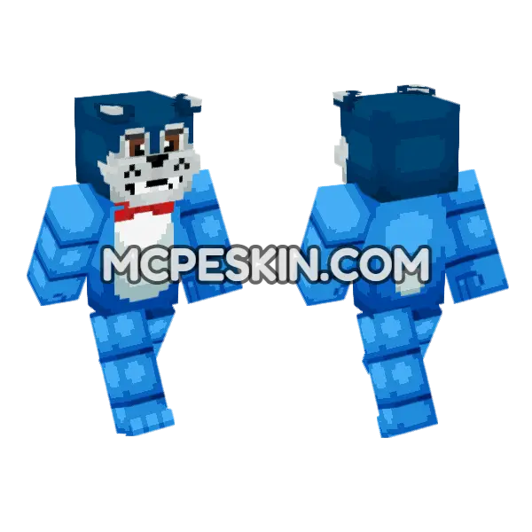 Blue Cat Outfit, front and back