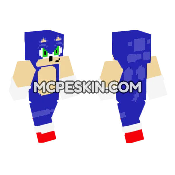 Blue Hedgehog Outfit, front and back