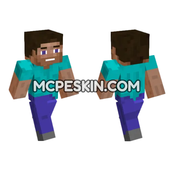 Blue Sleeved Explorer, front and back