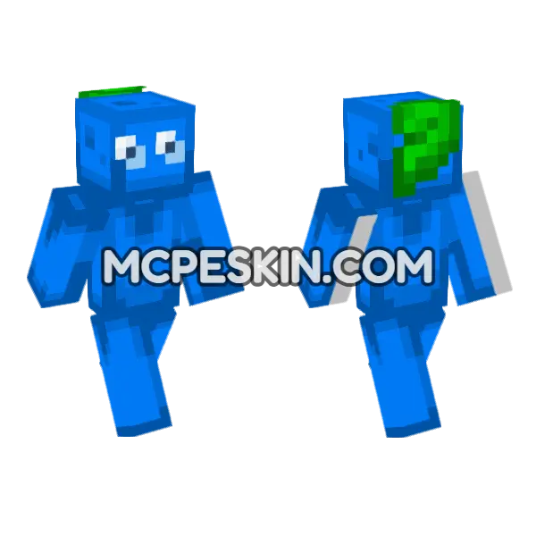 Blueberry Skin Minecraft Bedrock skin, front and back