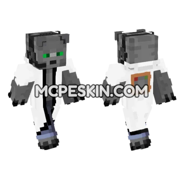 Bobicraft Skin Minecraft Bedrock skin, front and back