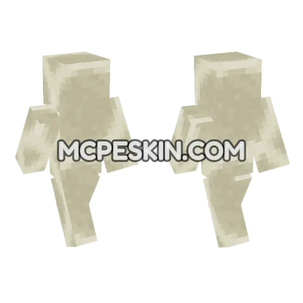 Bone Block Top Minecraft Bedrock skin, front and back
