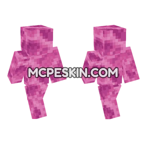 Brain Coral Block Minecraft Bedrock skin, front and back