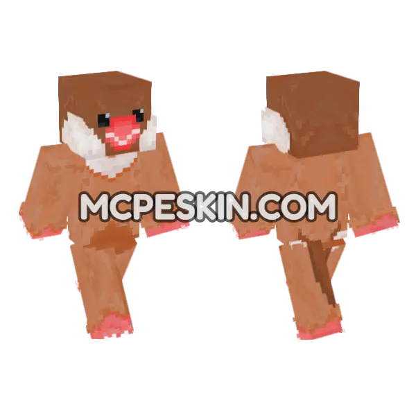 Brown Bunny Furry, front and back
