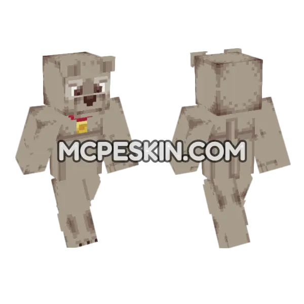 Brown Dog Companion, front and back