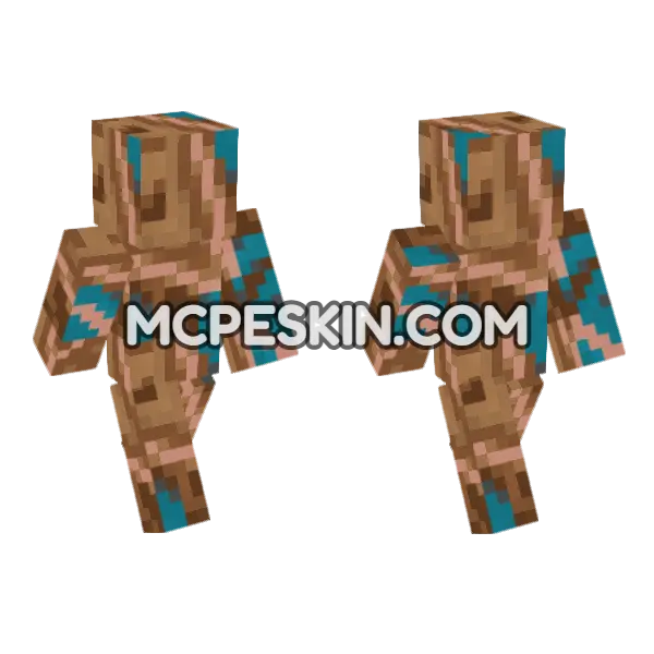 Brown Glazed Terracotta Minecraft Bedrock skin, front and back