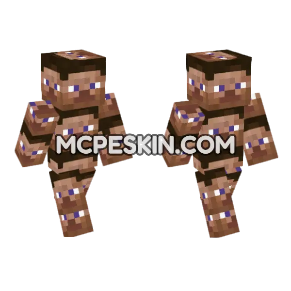 Brown Textured Blocks Minecraft Bedrock skin, front and back
