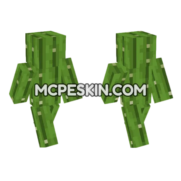 Cactus Skin Minecraft Bedrock skin, front and back