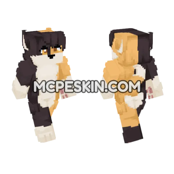 Calico Cat, front and back